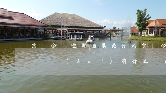 京東金條逾期后果是什么(京東金條逾期有影響嗎?會(huì)有什么樣的懲罰?)