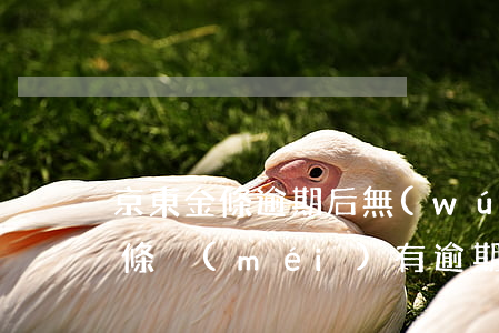 京東金條逾期后無(wú)法使用-京東金條沒(méi)有逾期為什么暫時(shí)無(wú)法提供服務(wù)
