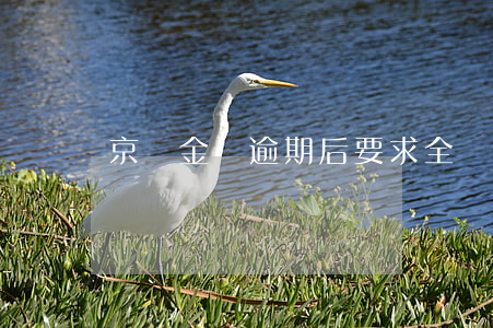 京東金條逾期后要求全額還款