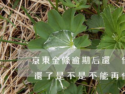 京東金條逾期后還沒借嗎(京東金條逾期過后還了是不是不能再借了)