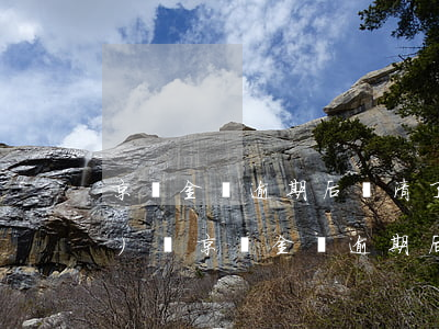 京東金條逾期后還清了,還能借出來(lái)嗎（京東金條逾期后還完了還能借嗎）