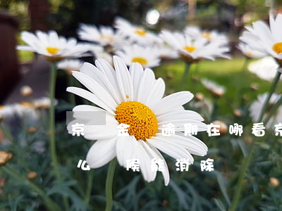 京東金條逾期在哪看 京東金條的逾期記錄什么時候能消除