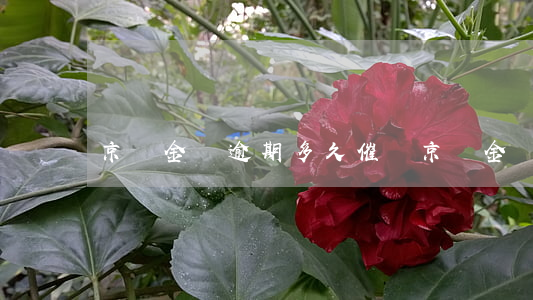 京東金條逾期多久催帳(京東金條逾期多久催帳)