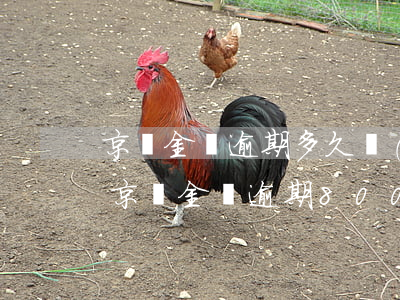 京東金條逾期多久會(huì)拉入黑名單(京東金條逾期800多說要被列為黑名單)