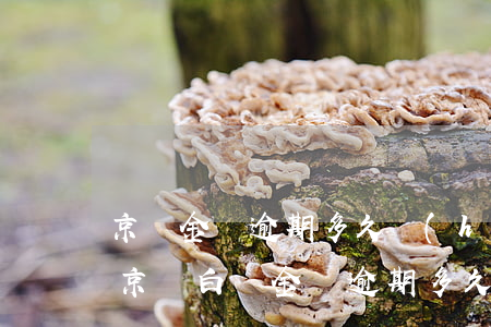 京東金條逾期多久會(huì)爆通訊錄-京東白條金條逾期多久會(huì)爆通訊錄?
