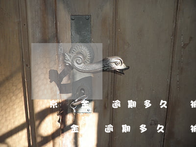 京東金條逾期多久會被起訴還不上怎么辦(京東金條逾期多久會被起訴會有什么后果)