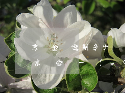 京東金條逾期多少錢會(huì)被起訴(欠京東金條一萬(wàn)多被京東起訴會(huì)怎么樣)
