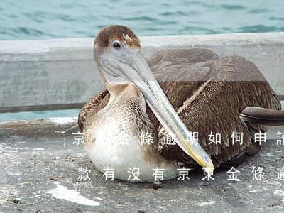 京東金條逾期如何申請(qǐng)暫停還款(有沒有京東金條逾期還完了要讓全部還款的)