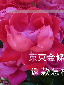 京東金條逾期如何申請減免-京東金條逾期還款怎樣才能減免滯納金?