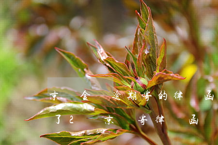 京東金條逾期寄的律師函是真的 京東金條欠了2萬,京東寄律師函過來了是真的要起訴嗎