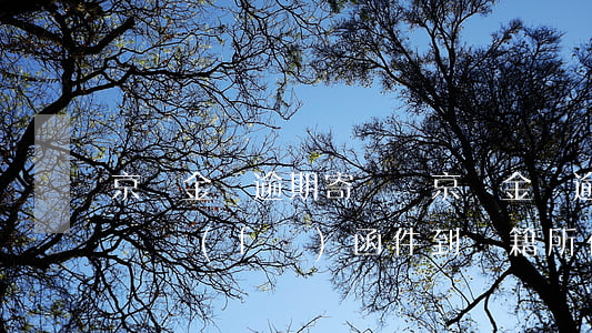 京東金條逾期寄賬單(京東金條逾期一個多月會發(fā)函件到戶籍所在地嗎)