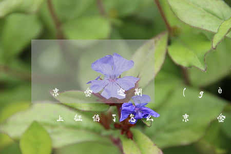 京東金條逾期幾個(gè)小時(shí)上征信了,怎么辦（京東金條逾期7天上征信嗎）