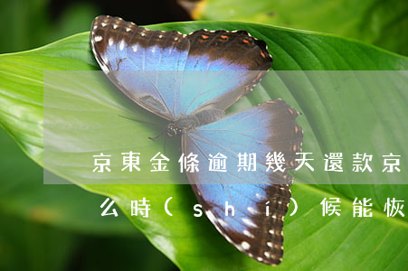 京東金條逾期幾天還款(京東金條逾期之后什么時(shí)候能恢復(fù)借款)