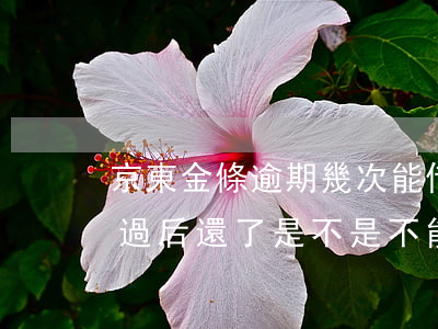 京東金條逾期幾次能借車貸嗎(京東金條逾期過后還了是不是不能再借了)