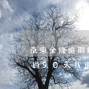 京東金條逾期幾百塊怎么辦(京東金條逾期超過90天我還一部分錢可以嗎)