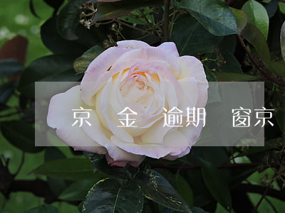京東金條逾期彈窗 京東金條逾期彈窗