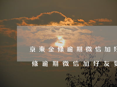京東金條逾期微信加好友要求還款-京東金條逾期微信加好友要求還款是真的嗎