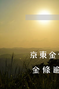 京東金條逾期怎么協(xié)商還款(京東金條逾期能不能協(xié)商重新分期還款)