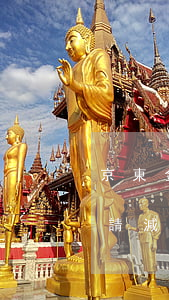 京東金條逾期怎么申請免息 京東金條怎么申請減免利息