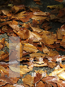 京東金條逾期收到到訪通知的短信-京東金條逾期收到到訪通知的短信怎么辦