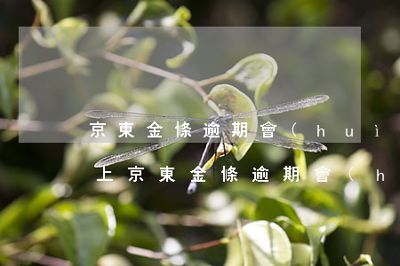 京東金條逾期會(huì)不會(huì)上 京東金條逾期會(huì)不會(huì)上