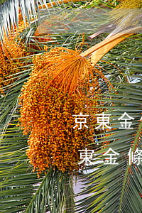 京東金條逾期會(huì)有不良記錄么(京東金條逾期一天征信有不良記錄嗎)