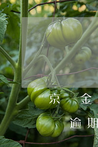 京東金條逾期會(huì)被拉入嗎(京東金條逾期處理了但是他們要求全部還清)