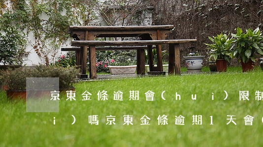 京東金條逾期會(huì)限制消費(fèi)嗎(京東金條逾期1天會(huì)有影響嗎?京東金條逾期有影響嗎?)