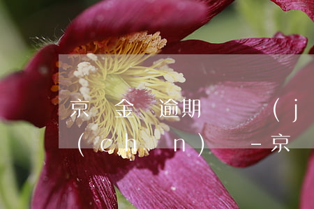 京東金條逾期會凍結(jié)你個人財產(chǎn)嗎-京東金條逾期會凍結(jié)你個人財產(chǎn)嗎安全嗎