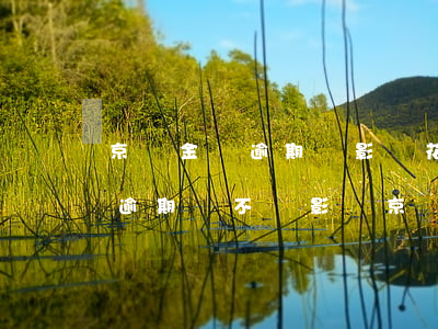 京東金條逾期會影響花唄不能用嗎 螞蟻花唄逾期會不會影響京東白條開通