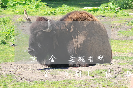 京東金條逾期有影響嗎?會有什么樣的懲罰?（京東金條逾期了會被罰款嗎）