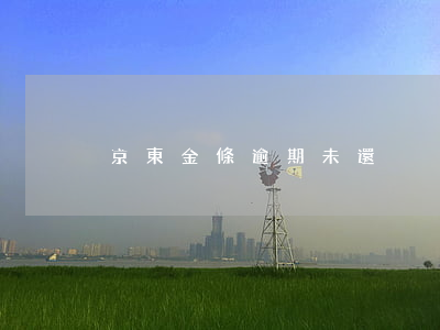 京東金條逾期未還