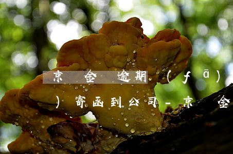 京東金條逾期發(fā)信息說(shuō)寄函到公司-京東金條逾期發(fā)信息說(shuō)寄函到公司是真的嗎