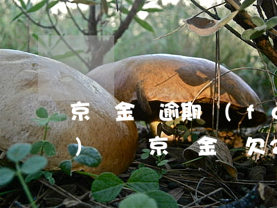 京東金條逾期發(fā)微信說(shuō)訴訟(京東金條欠2000多逾期了發(fā)信息要起訴我咋辦)