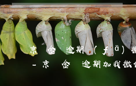 京東金條逾期發(fā)微信說移交法務部-京東金條逾期加我微信說到法院立案是真的嗎?