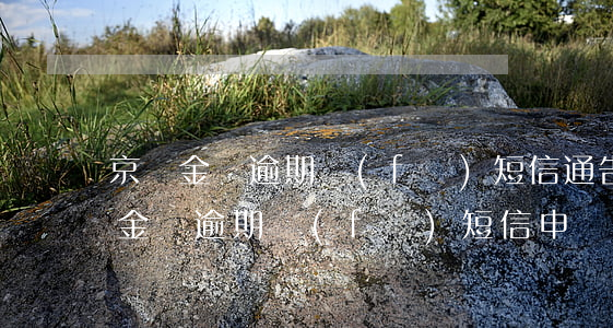 京東金條逾期發(fā)短信通告函-京東金條逾期發(fā)短信申請立案了真的假的
