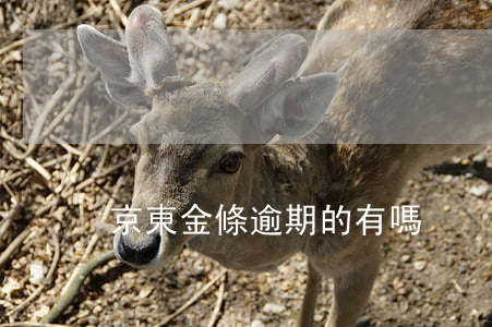 京東金條逾期的有嗎