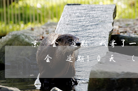 京東金條逾期給我寄了一個(gè)信封 京東金條逾期10天發(fā)了一封信件過來(lái)