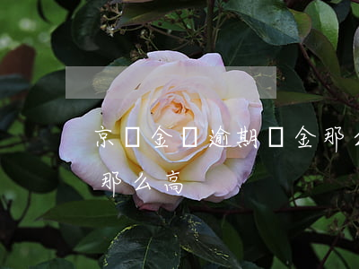 京東金條逾期罰金那么高(京東金條逾期罰金那么高)