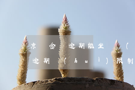 京東金條逾期能坐飛機(jī)嗎 京東金條逾期會(huì)限制坐高鐵坐飛機(jī)嗎