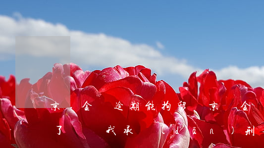 京東金條逾期能拘留嗎 京東金條逾期兩個月了說讓我承擔(dān)刑事責(zé)任