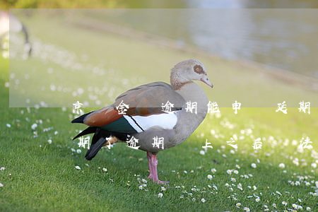 京東金條逾期能申請延期還款嗎 京東金條逾期了,逾期還上之后,無法借款