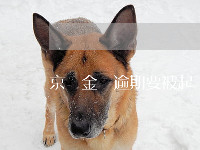 京東金條逾期要被起訴