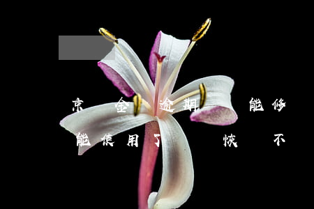 京東金條逾期記錄能修復(京東金條逾期了不能使用了還會恢復不)