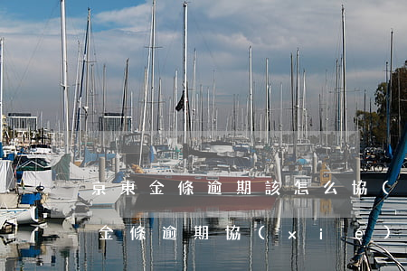 京東金條逾期該怎么協(xié)商-京東金條逾期協(xié)商不了,說要來我家