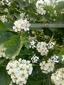 京東金條逾期說要凍結(jié)微信 京東金條逾期加微信