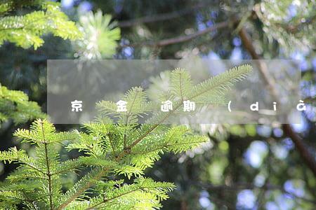 京東金條逾期調(diào)解