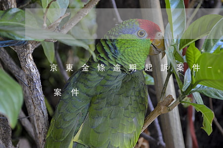 京東金條逾期起訴案件-京東金條逾期起訴案件