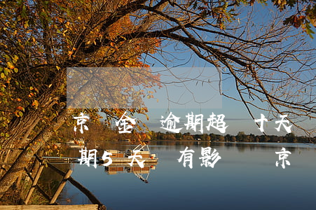 京東金條逾期超過十天會怎樣-京東金條逾期5天會有影響嗎?京東金條逾期攻略!