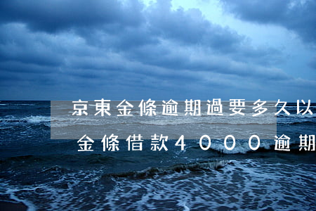 京東金條逾期過要多久以后才可以借款（京東金條借款4000逾期90天）